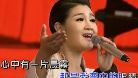 草原歌曲降央卓玛曲谱_降央卓玛草原之夜简谱(4)
