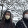 双飞