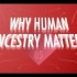 【10分钟速成课：大历史第二季】第5集 - 人类起源为什么重要？