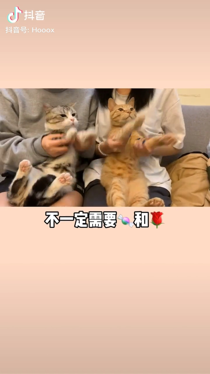 鹿昊昊vv北森深鹿小七是只