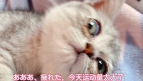 29ca240fb7be59fb98db5b7bfce93a96f8b28073.jpg@280w_158h_1c_100q.jpg