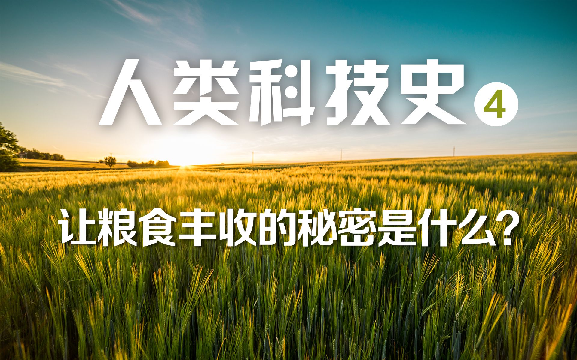 中华文明的辉煌与我们的种田基因有什么关系？【人类科技史】