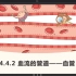 【初中生物】4.4.2 血流的管道——血管