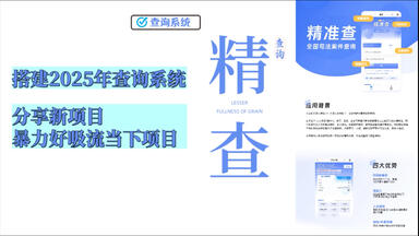 精准查案件<em class="keyword">系统</em>