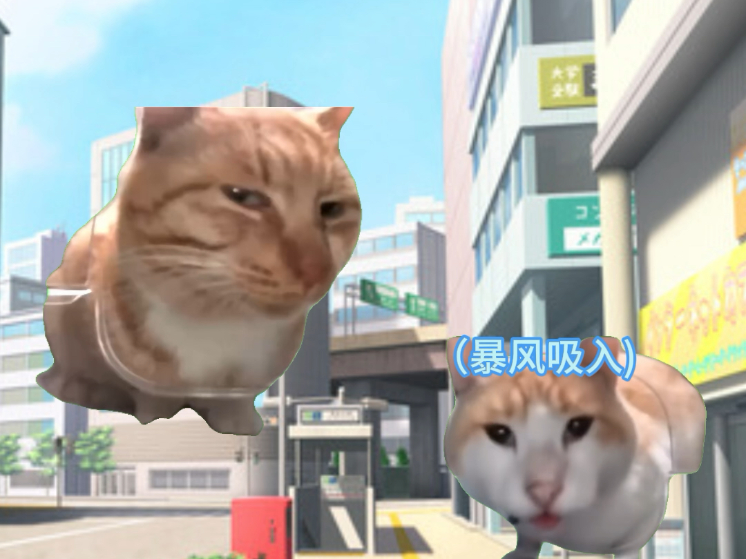 [猫meme]当女友小鸟胃猪瘾犯了…