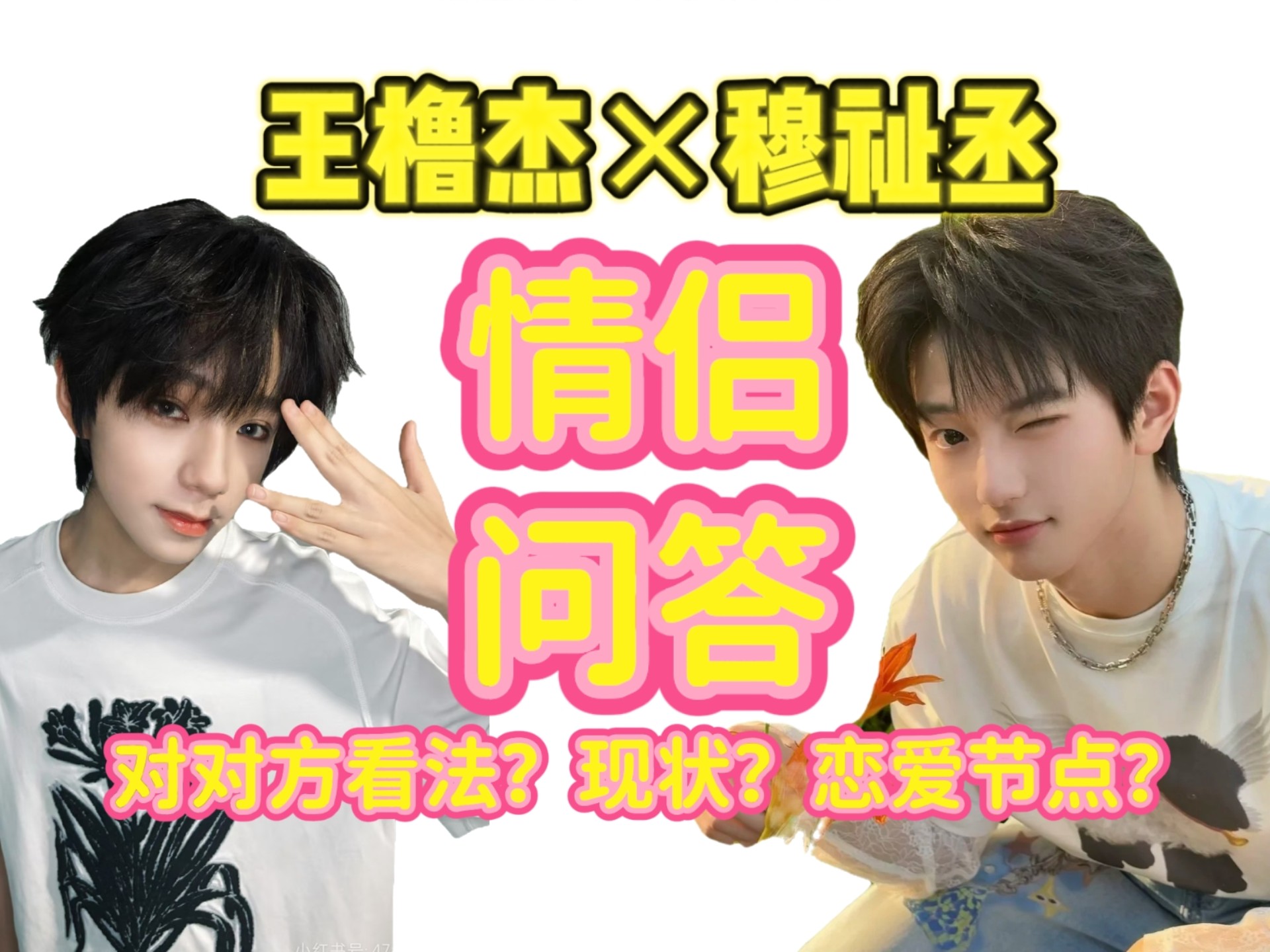 【橹穆】CP问答＋预测：如何驯服一只蓝环章鱼