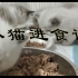 『猫崽日记-第40天』布偶猫幼猫第一次吃肉