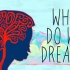 为什么会做梦？做梦等于睡眠质量差吗？