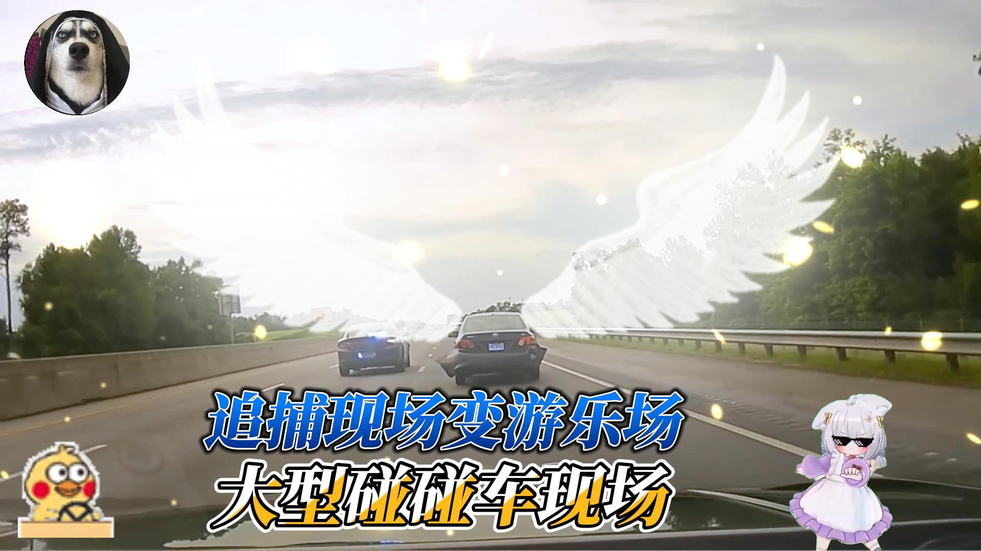 争取最后的自由