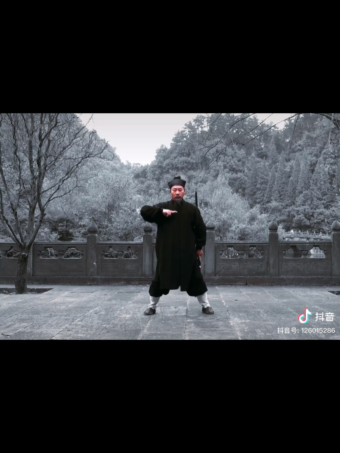 武当群像武当钟云龙武当陈师行武当陈