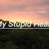 英文歌推荐《My Stupid Heart》，