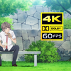 【青春猪头少年不会梦到兔女郎学姐OP+ED合集】【4K60FPS重制典藏版