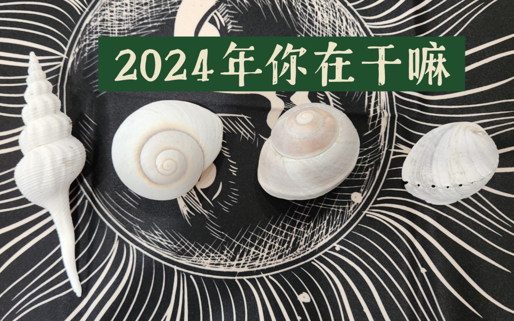 【Yves塔罗】2024你在干嘛！？｜2024运势：机遇＆课题＆挑战