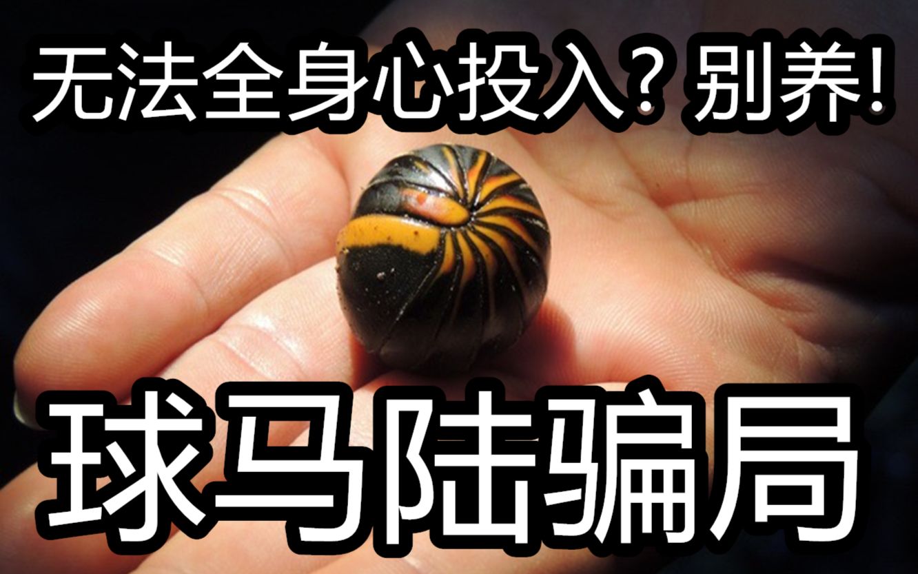 工作繁忙?有学业? 同时养很多爬虫? 千万别入球马陆!