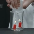 人教版 九年级化学第六6单元二氧化碳的倾倒、阶梯蜡烛熄灭