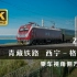 【4K】 青藏铁路 西宁-格尔木 Z223次 日间乘车视角原速原声侧方展望（4K60fps）
