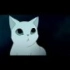 国产动画短片《八尾猫》