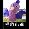 男孩拯救了一只小鸡，竟改变了他的一生