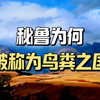 靠鸟粪发家，为何秘鲁的鸟粪能拯救全世界