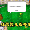 网络迷踪：疯狂的戴夫在哪里
