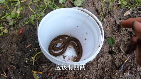 2b4a43e230d3d34419b9bb27f9ab99e9b72600fa.jpg@480w_270h_1c