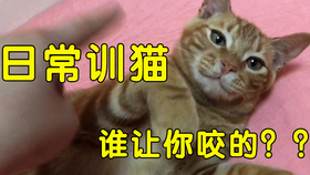 2b5c744d340f8e671589206919c24d9103c6c73a.png@280w_158h_1c_100q.jpg