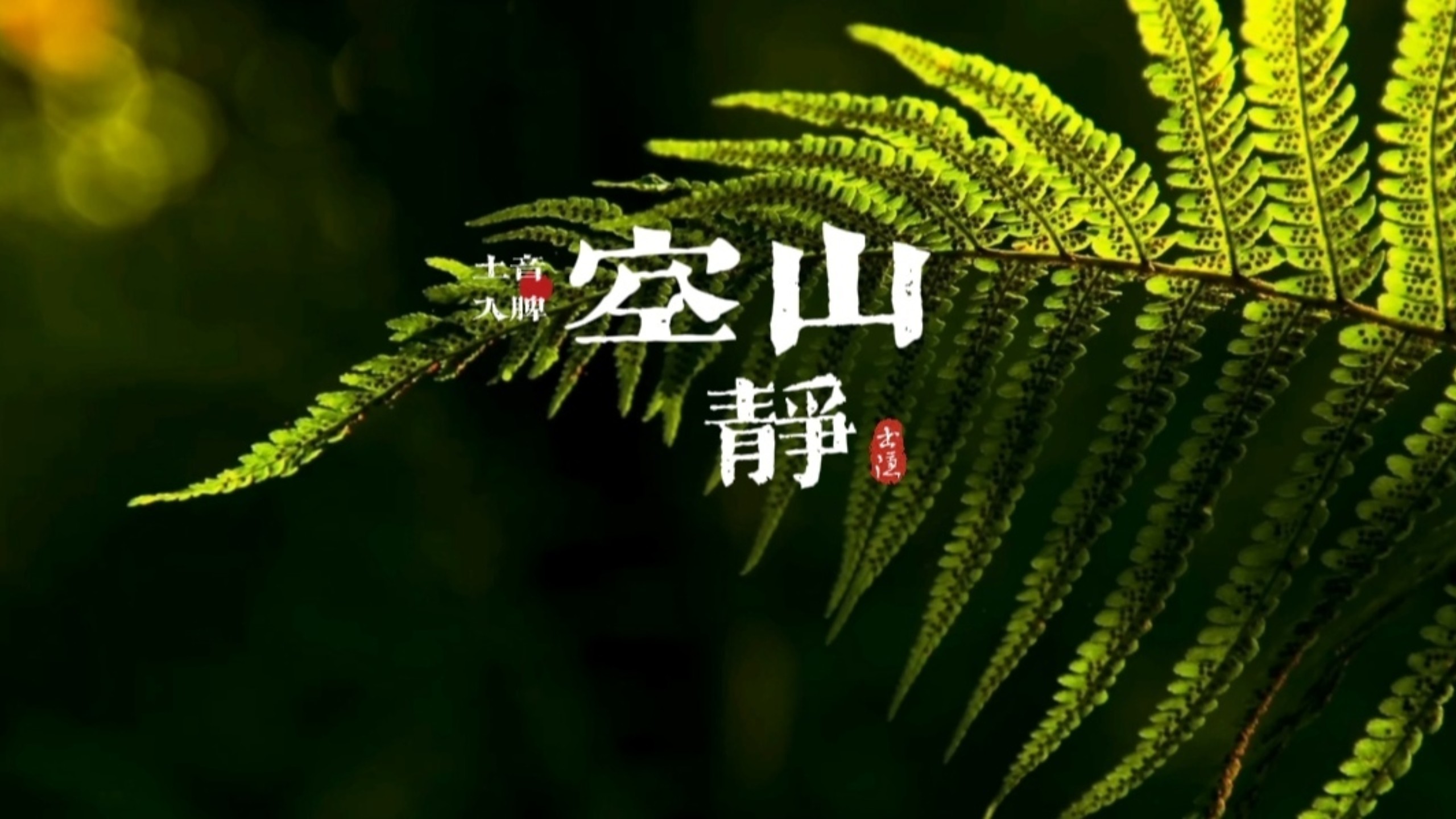 『五音疗疾』土音入脾，养胃健脾，改善气色，缓解焦虑，安稳身心，湿气重虚胖，胃不好，失眠等可多听用《空山静》