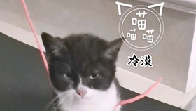 2b74a61b180635a570dedf53f8b5ed0d67f963b1.jpg@280w_158h_1c_100q.jpg
