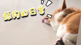 2b84a084021722d2a6daad391e88d427061f1bf1.jpg@280w_158h_1c_100q.jpg