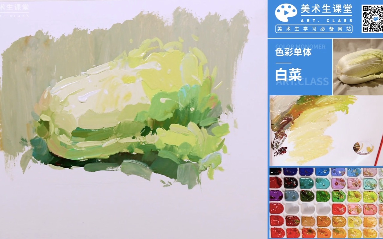 【色彩单体】·白菜讲解示范