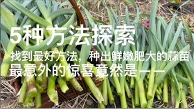 2b94fbc5a7a95333cf46c4d3406cb72f576c4a3d.jpg@280w_158h_1c_100q.jpg
