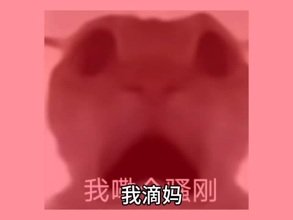 【是秋不是落秋】最新视频上线，求关注！