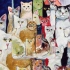 【国家地理纪录片】猫夫人与700只猫【搬运】
