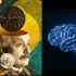 智慧第二部曲：天才大脑【最强大脑+体外超脑+无限灵感+全领域】