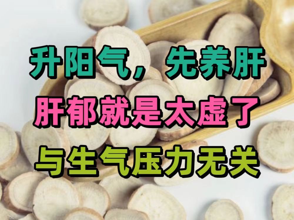字幕下载