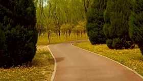 2be4623c084082dc841cd8274f9ed77c339fc6e4.jpg@280w_158h_1c_100q.jpg