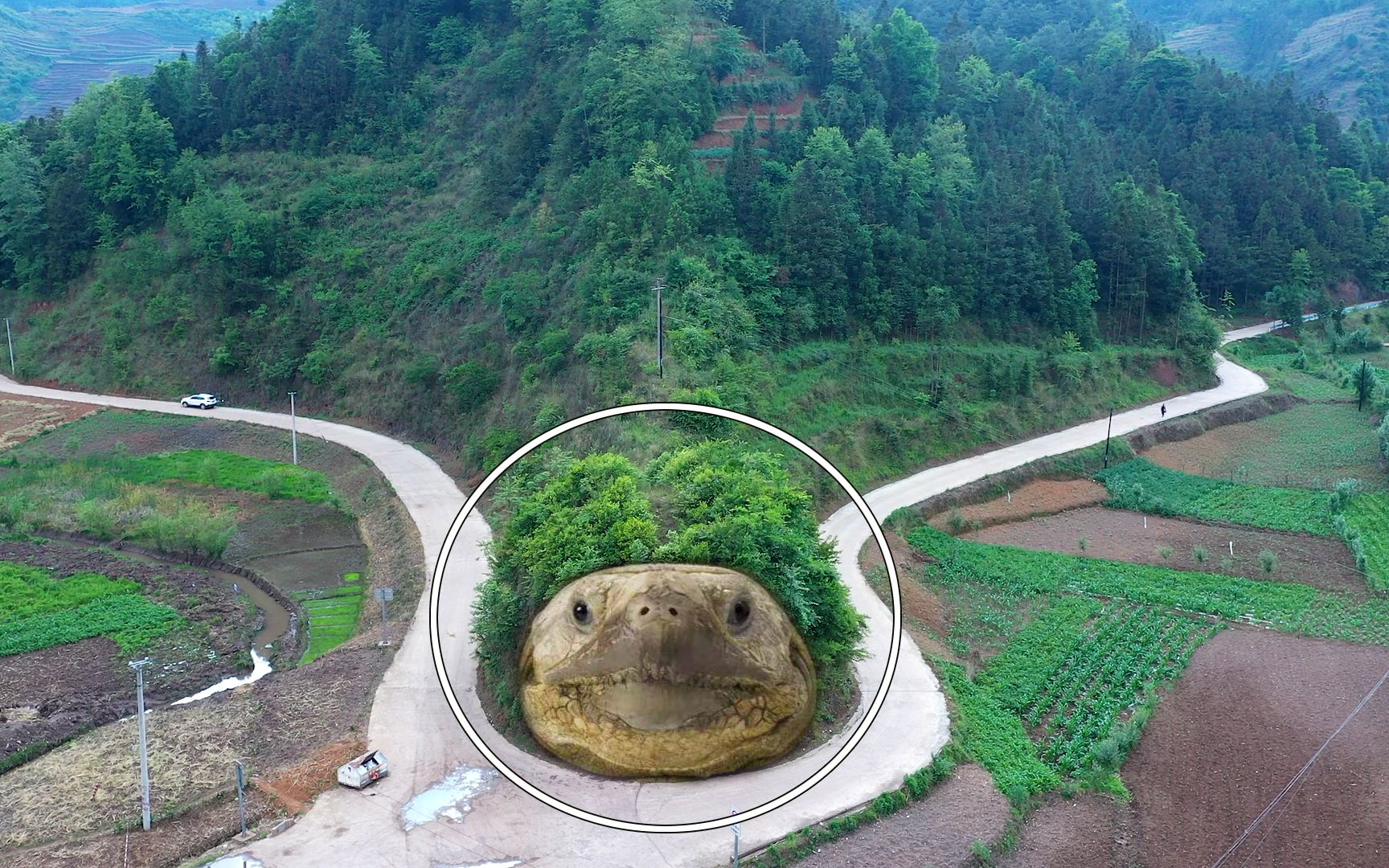 贵州最惹不起的万年神龟，足足一座山那么大，连公路都让着走