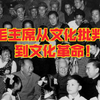 毛主席从文化批判到文化革命