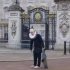 英国小伙挑战在警察面前，违反各种奇葩的法律，敲首相门，在白金汉宫抖地毯……