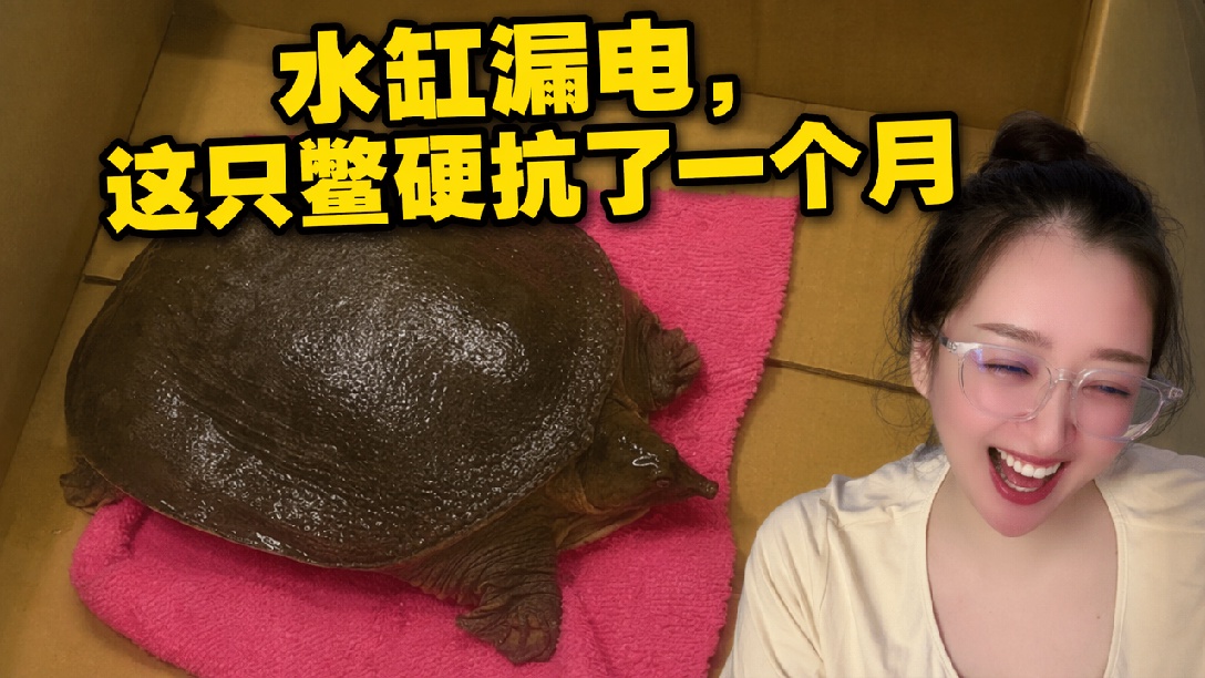 鳖：遇见你我真的服气哈哈哈哈哈哈哈