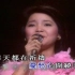 1976 邓丽君 香港利舞台演唱会.字幕版