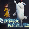 新怪物【玉兔】最新影像曝光，爱睡觉的可爱小兔子一枚啊~