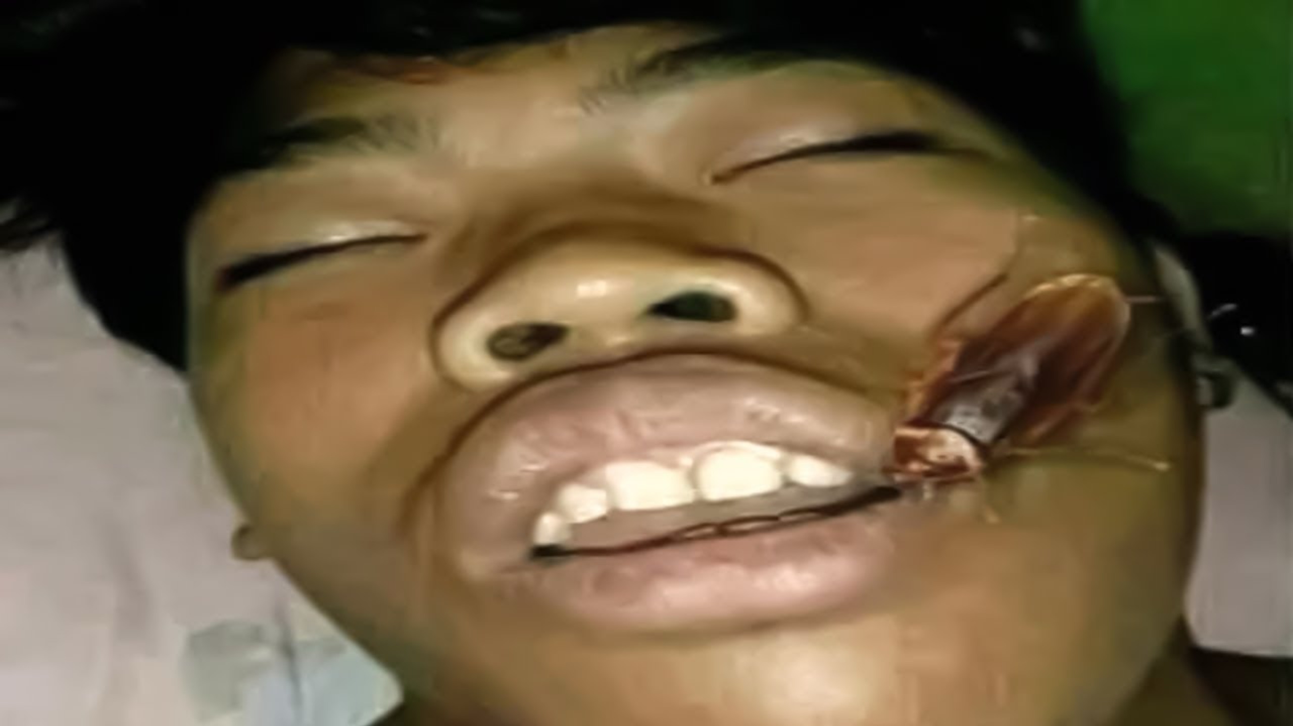 莫名戳中笑点204（1小时meme合集）