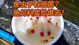 怎么养鱼才不生病 2c34e6d37033d3416bf419303ee16fdb8eb9ed6e.jpg@280w_158h_1c_100q.jpg