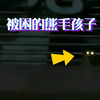 不省心的熊毛孩子，让猫妈妈操碎了心