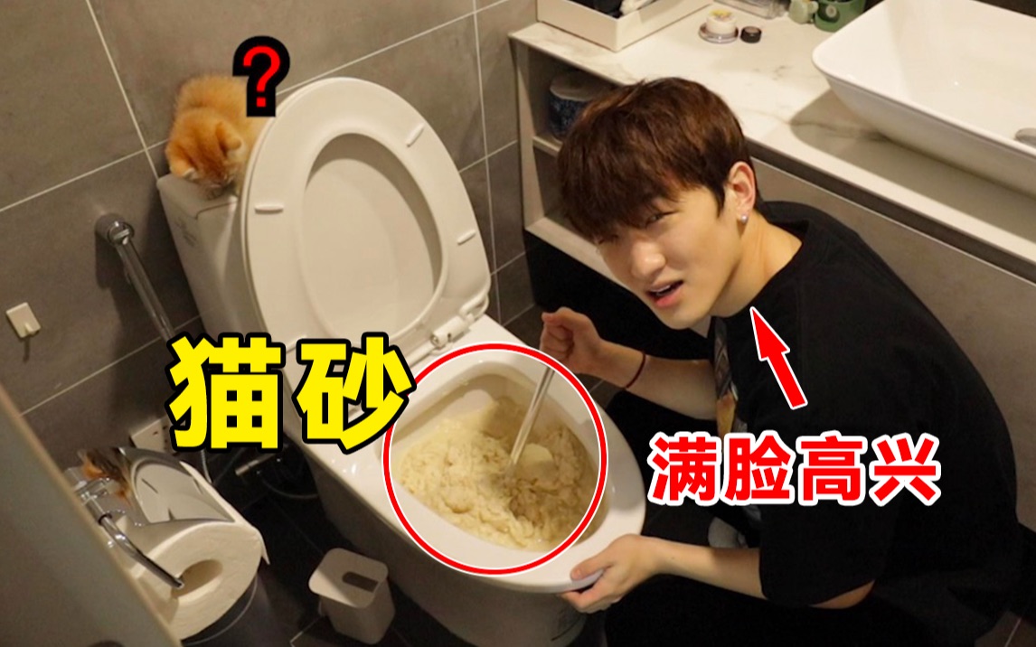 千万不要把猫砂倒进马桶里啊啊啊啊！！！
