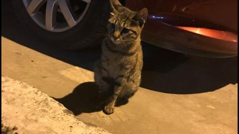 2c5a968f79a746de6735909b0ca3f63f5f730d1d.jpg@480w_270h_1c