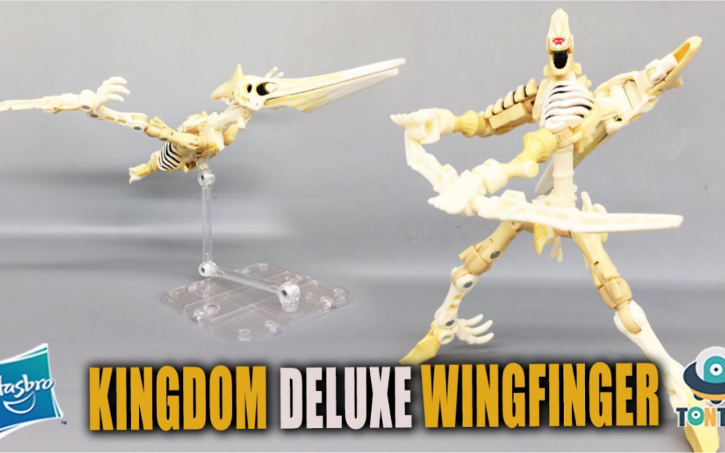 变形金刚决战塞伯坦王国d级wingfinger翼指龙翼龙化石兽tonton视频