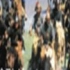 【NHK】［纪录片]大蒙古帝国系列(1-5全)［720P日语中字］