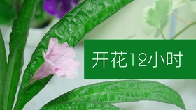 2c71194b1340f08771bbe8a528b510b3ef9ed139.jpg@280w_158h_1c_100q.jpg